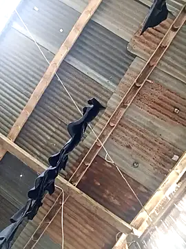 Davir2001 online show from March 14, 9:43 pm