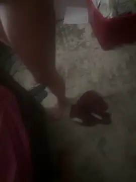 silverbay-456 online show from September 22, 11:27 am