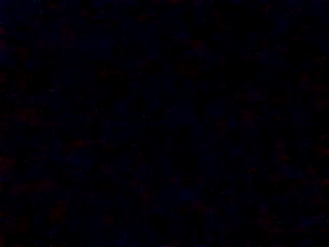 silverbay-456 online show from October 20, 6:15 am