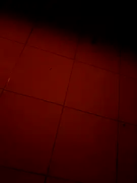 Trade010 online show from November 14, 4:21 pm