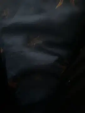 high geil online show from December 3, 9:09 am