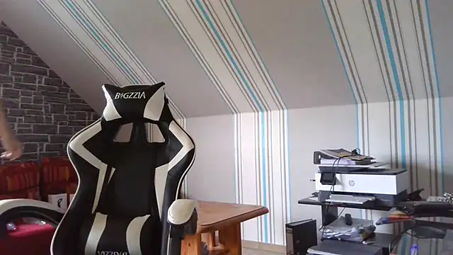 vers92 seb online show from November 9, 9:02 am