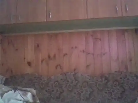 Snapshot of Maksymilian1 chatting on February 15, 2:49 pm Maksymilian1 online show from February 15, 2:49 pm