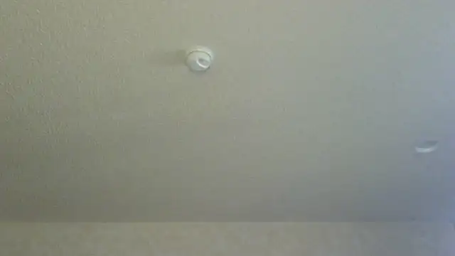 Flossee online show from April 11, 12:18 am