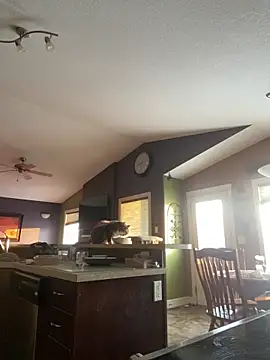 starsaligned online show from January 6, 10:47 pm