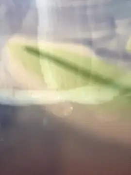 starsaligned online show from January 7, 6:24 pm