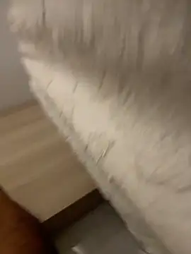 DoctorArabe3 online show from February 12, 11:10 am