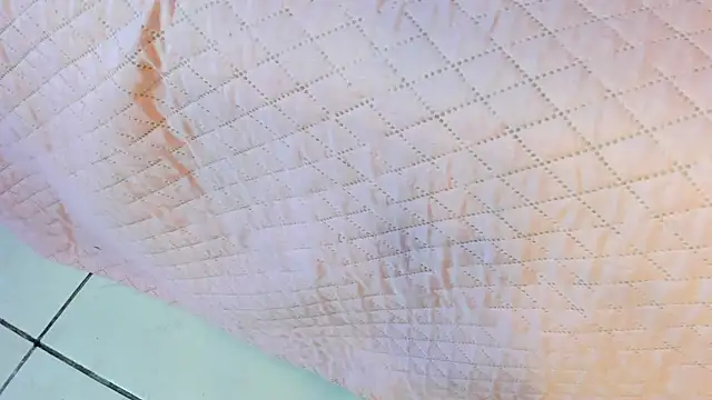  jasmine blush online show from March 22, 1:45 pm