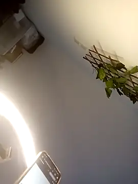 Loiroatv36 online show from April 3, 10:00 am