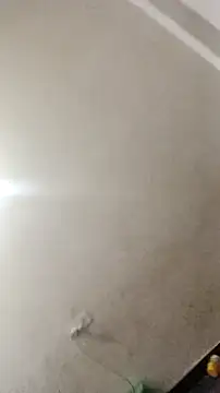 Snapshot of Guriya0076 chatting on November 23, 11:09 am Guriya0076 online show from November 23, 11:09 am