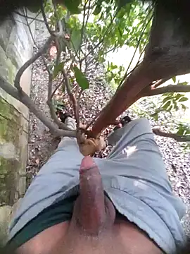 Desi Horny Boys online show from November 22, 6:01 am