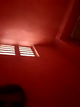 Desi Horny Boys online show from November 23, 9:41 am