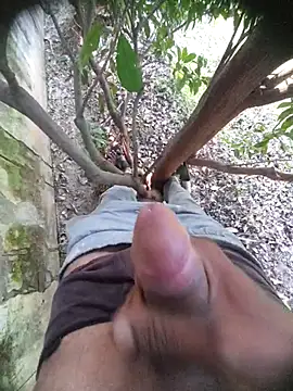 Desi Horny Boys online show from November 21, 5:50 am