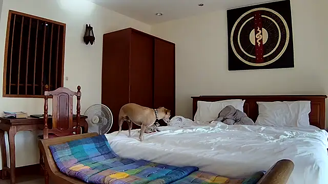 Fate Fletcher online show from September 25, 9:15 am