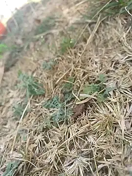 mkallu1995 online show from March 5, 6:10 am