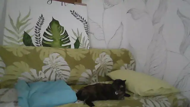 Snapshot of Catty_Lady chatting on September 27, 6:36 pm Catty Lady online show from September 27, 6:36 pm