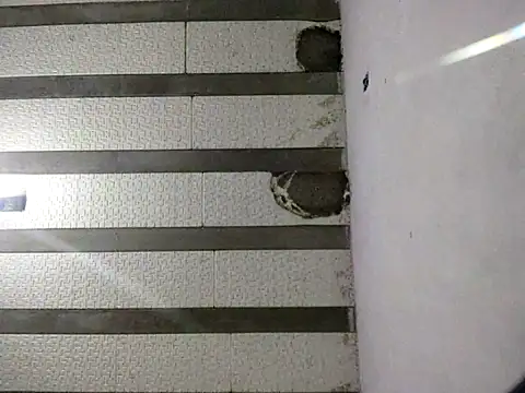 Rafaschuler online show from December 16, 10:47 pm