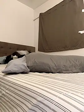 himNIGuys online show from February 10, 1:48 am