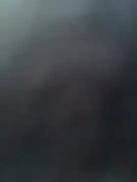 japa-16cm online show from October 25, 12:50 pm