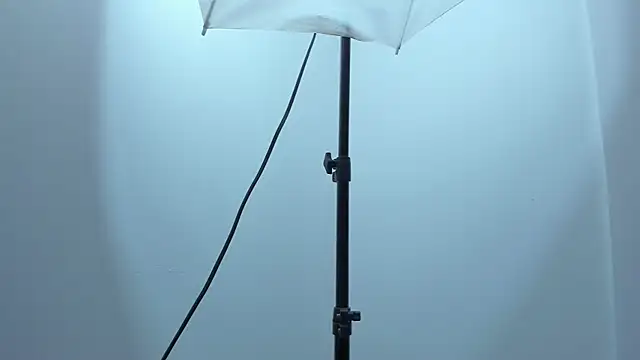 violet taylor  online show from December 17, 2:16 am