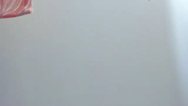 violet taylor  online show from July 16, 2:19 am