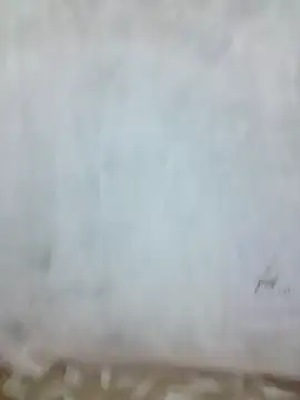 Snapshot of sia_143 chatting on October 9, 5:30 am sia 143 online show from October 9, 5:30 am