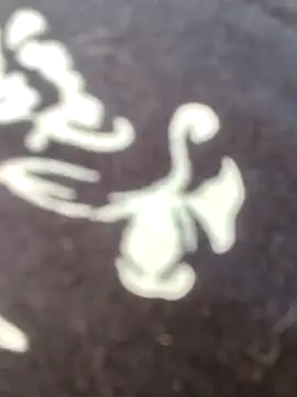 Snapshot of papukurty chatting on February 22, 12:18 pm papukurty online show from February 22, 12:18 pm