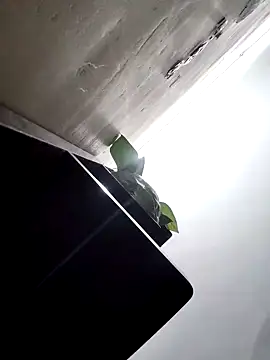 papukurty online show from March 25, 1:50 am