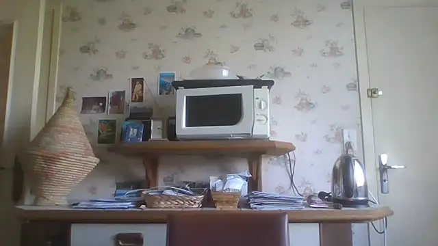 gegevincent online show from April 15, 11:27 am