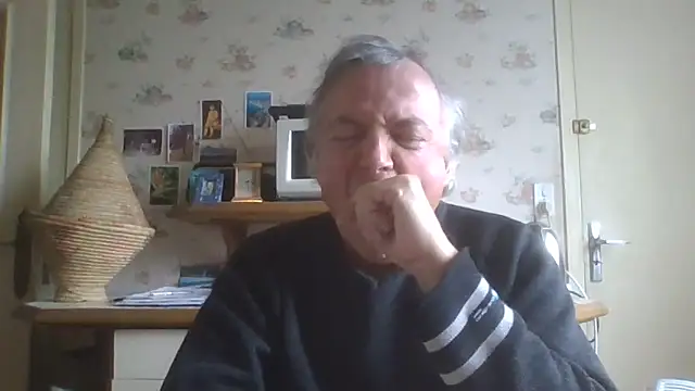 gegevincent online show from March 25, 1:32 pm