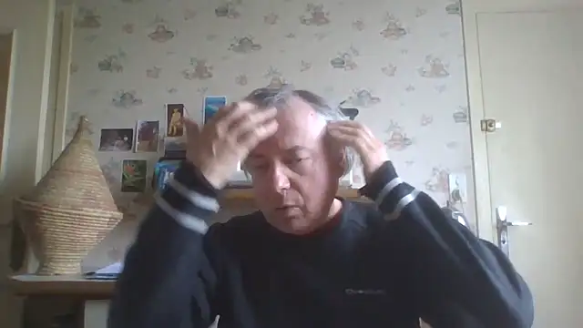 gegevincent online show from April 3, 1:17 pm