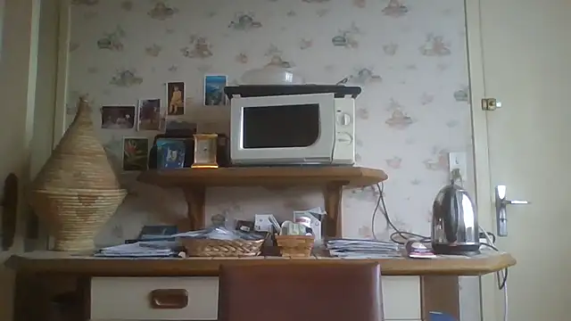 gegevincent online show from January 18, 2:09 pm