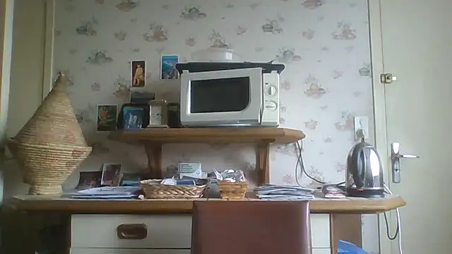 gegevincent online show from November 29, 2:06 pm