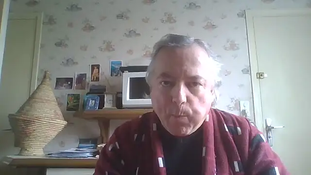 gegevincent online show from April 13, 11:25 am