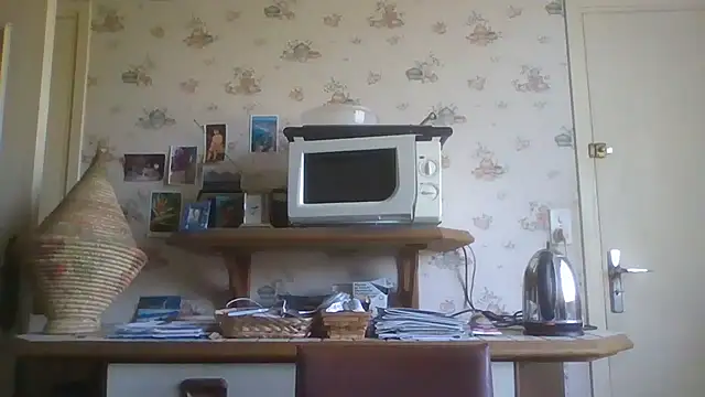 Snapshot of gegevincent chatting on July 4, 12:53 pm gegevincent online show from July 4, 12:53 pm