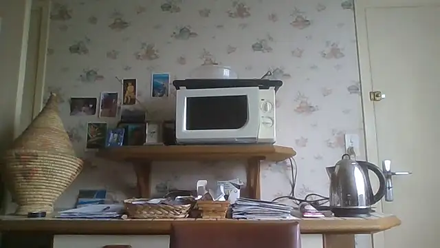 Snapshot of gegevincent chatting on May 30, 8:42 am gegevincent online show from May 30, 8:42 am