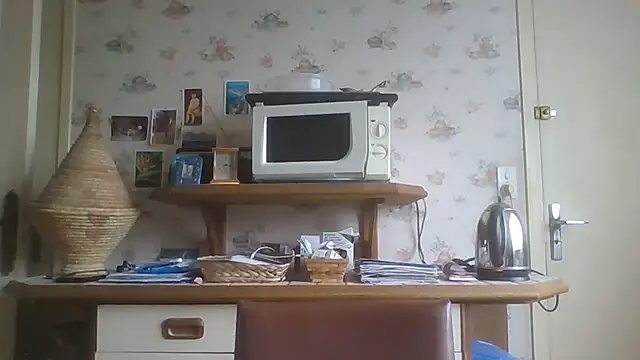 gegevincent online show from February 17, 2:14 pm