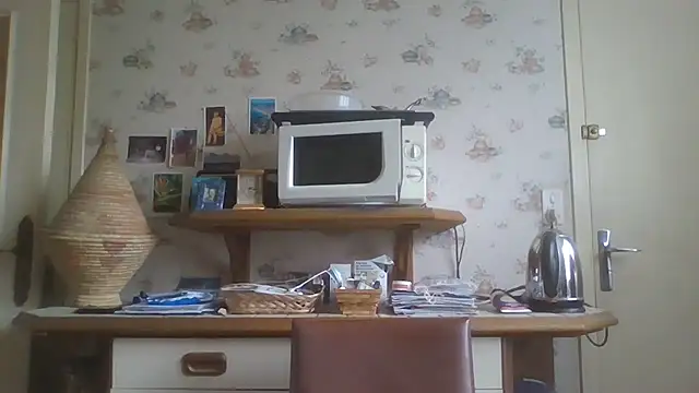 gegevincent online show from February 20, 1:35 pm