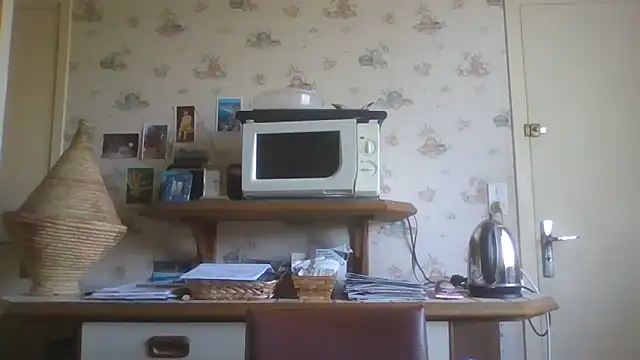 gegevincent online show from April 4, 1:17 pm