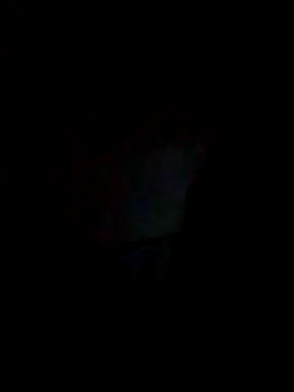 Snapshot of Zinedean24 chatting on May 31, 9:59 pm Zinedean24 online show from May 31, 9:59 pm