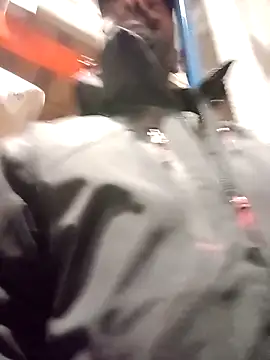 Snapshot of frenchblackc31 chatting on December 2, 3:14 pm frenchblackc31 online show from December 2, 3:14 pm