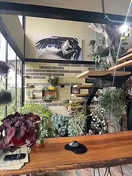 Rose-andres online show from November 29, 8:42 pm