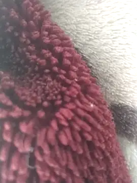 yaraa49 online show from December 16, 5:55 am