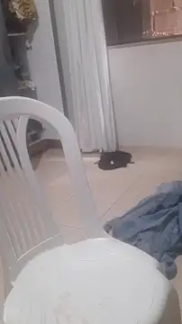 Urso Nerd online show from March 14, 3:51 pm