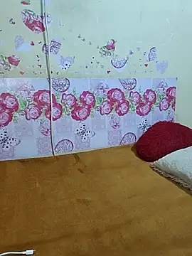 ranisanthutelugu online show from October 17, 5:11 am