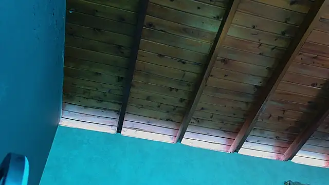 Snapshot of Taurito___ chatting on November 14, 4:32 pm Taurito online show from November 14, 4:32 pm