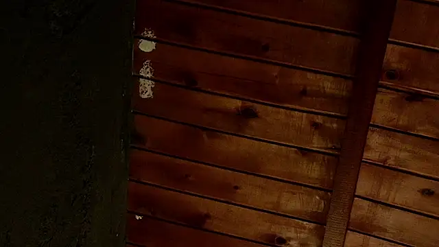 Snapshot of Taurito___ chatting on November 28, 9:37 pm Taurito online show from November 28, 9:37 pm