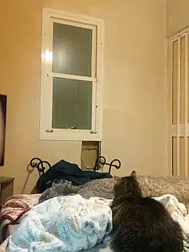 Pollagorda 34877 online show from December 20, 10:01 pm