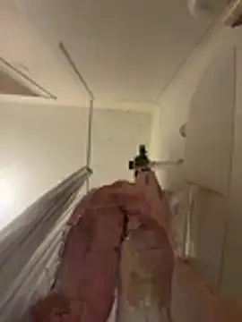 babykalirose online show from March 19, 1:05 am