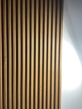 Scaarlettfox online show from November 3, 7:28 pm